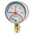 Термоманометр радиальный 10 бар 1/2"-120°C, Watts F+R828 (TMRP) 10025525