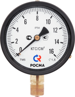 Манометр  6 бар радиальный D100мм 1/2, Росма ТМ-610Р.05 Дк150 0,6МПа кл.т.1,5 М20х1,5 (12)